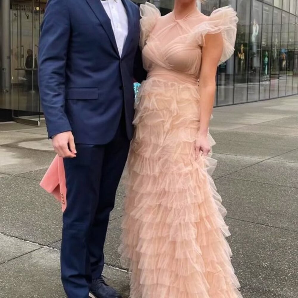 Blush Sheer Tulle Formal Gown - Size Small (worn once)